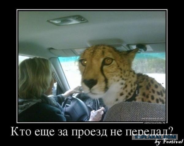 Газель трансформер