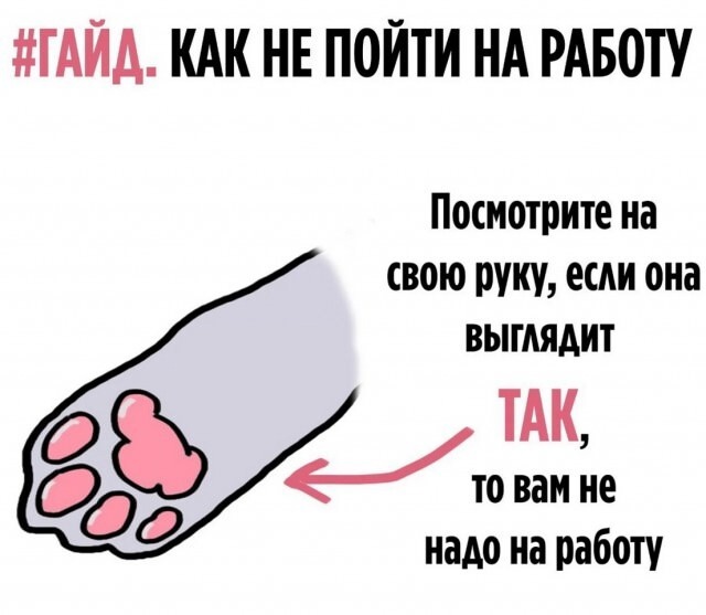 Так себе картинки 01.03.25