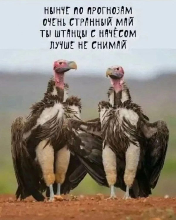 Понедельник всегда внезапен