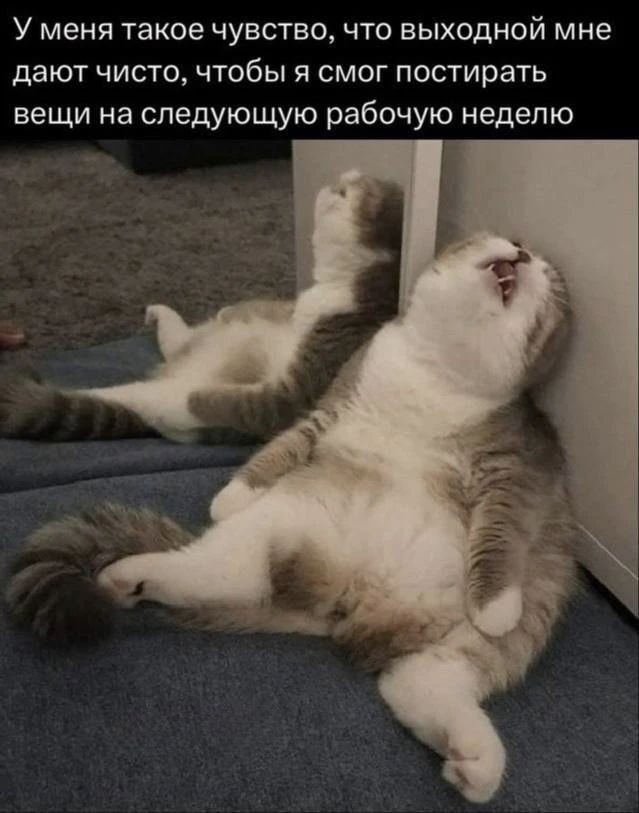 Потная гамсахурдия №7