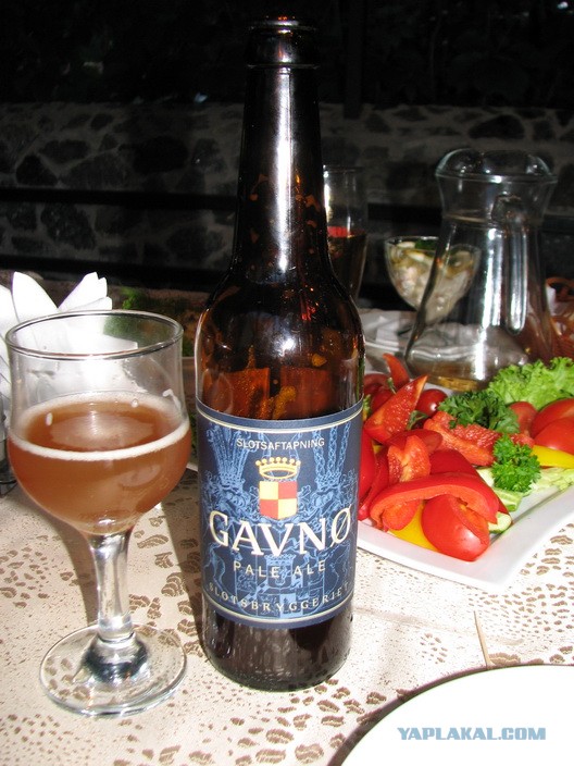 Cамокритично
