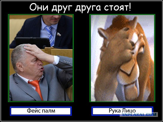 Они друг друга стоят!
