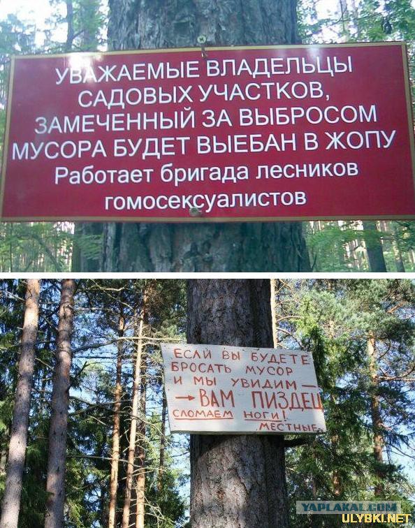"Живи спокойно, страна!