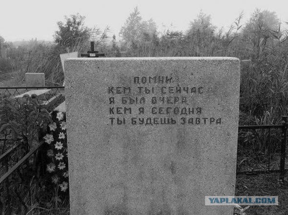 Картинки, объявления - 2