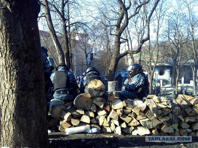 "Георгиевские " ленточки против флагов УПА