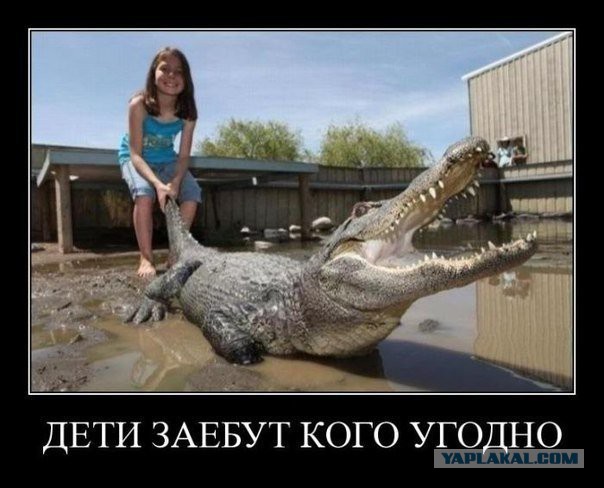 Тузик оккупировал квартиру и выгнал 3 девушек.