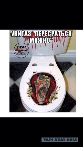 Ужасы и приколы из соцсетей 18+