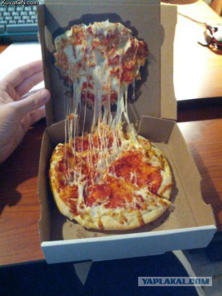 Московская пиццерия доставляет заказы на собаках!