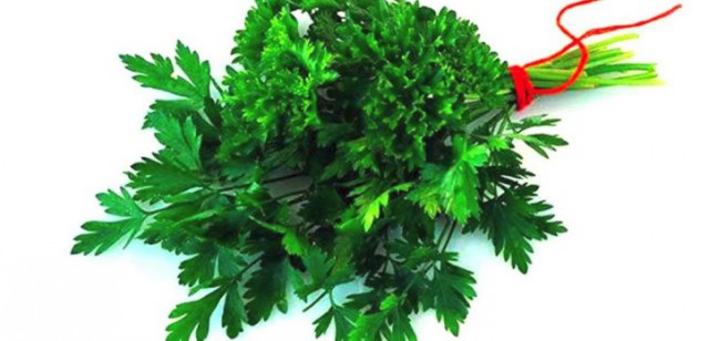 Девушки в купальниках