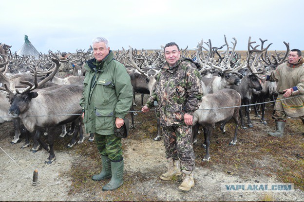 В гостях у загадочной ямальской тундры
