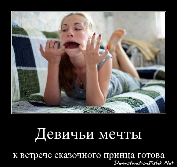 Порция картинок из сети