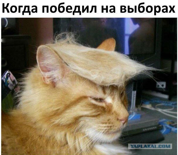 Трамп - наш президент?