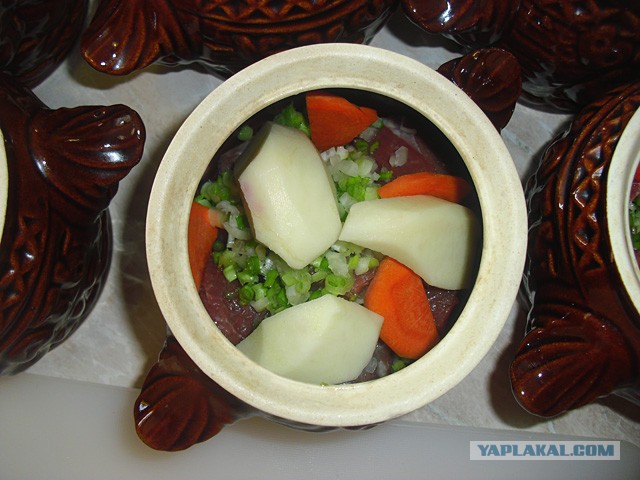 International одной книги., В память о Дженибеке.