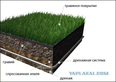 Спорт пришёл в Армию