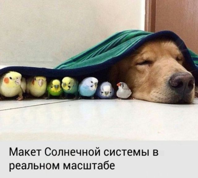 Зарядись позитивом