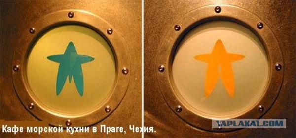 Прикольные туалетные таблички
