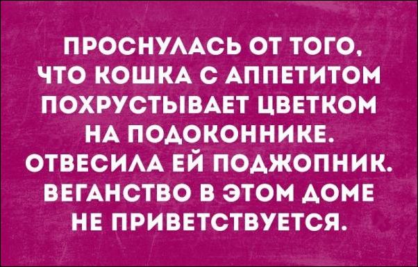 Немного текстовых картинок с неоднозначным содержанием. Часть 3