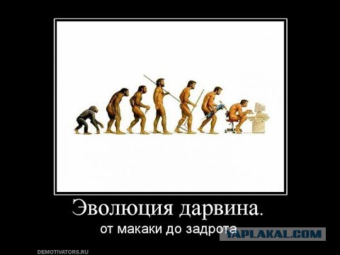 13 мифов об эволюции человека
