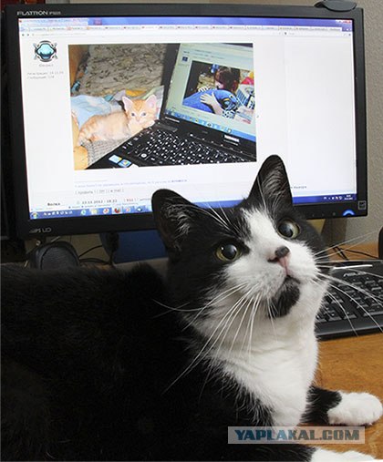 Суперняшности псто!