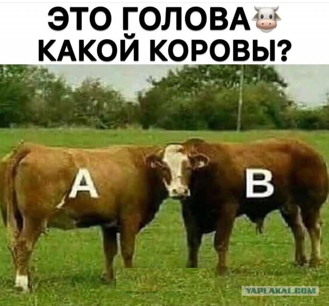 Всегда рады!