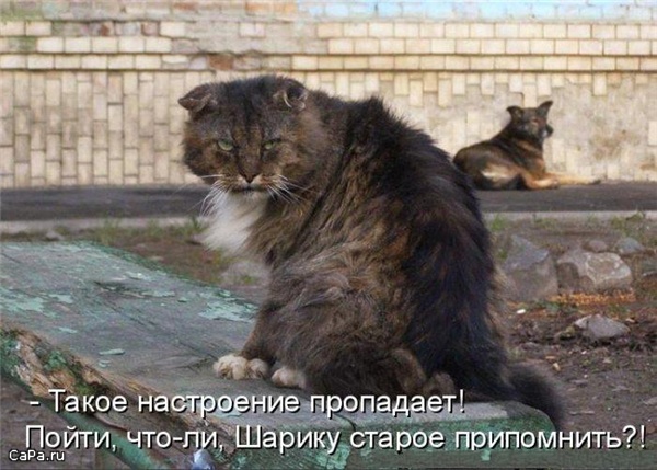 Демки и ностальджи