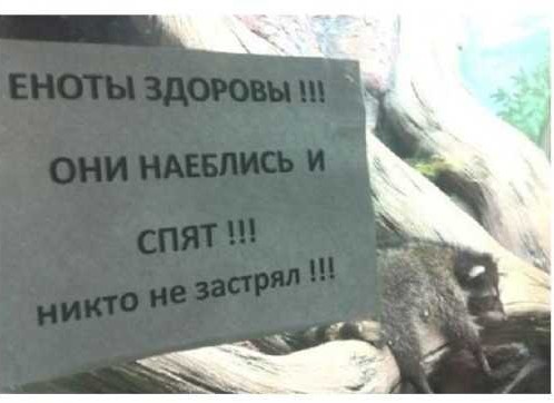 Немного картинок для настроения
