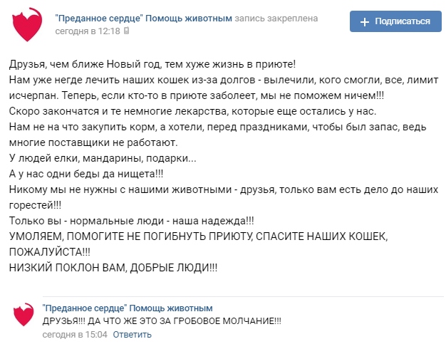 Помогите вернуть кота! Приют "Преданное сердце" украл кота и не отдает!-2