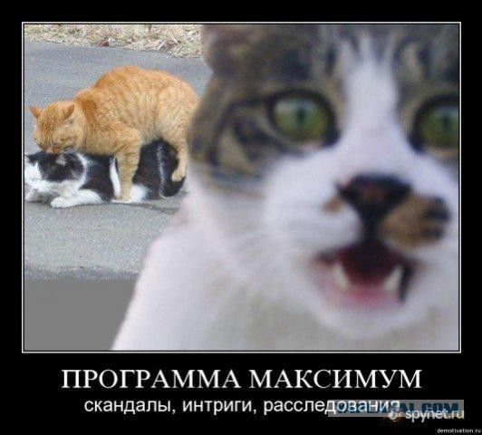 Древние мемы с ВК. Для тех кто забыл