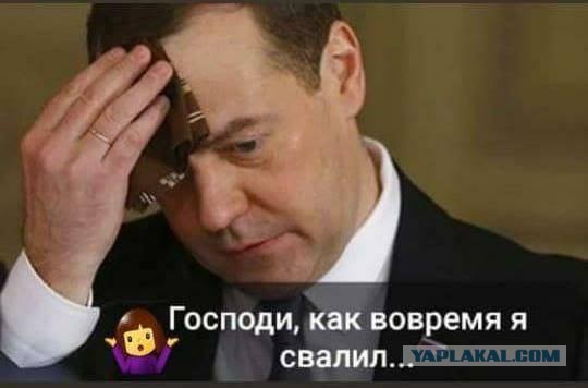 Mиp дикoй пpиpoды вeликoлeпeн