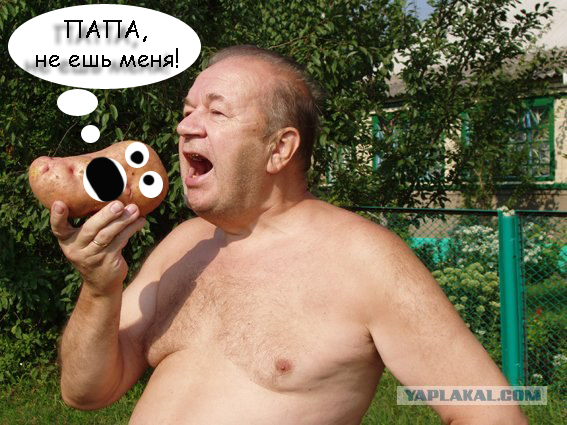 Огородник и урожай