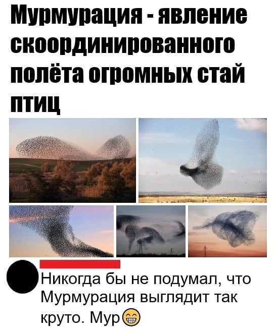 Просто добрые картинки. Всем хорошего дня!