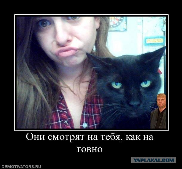 Фотожаба: Я и моя сраная хозяйка