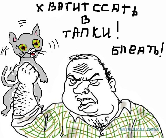 Будь мужиком, скажи что думаешь!