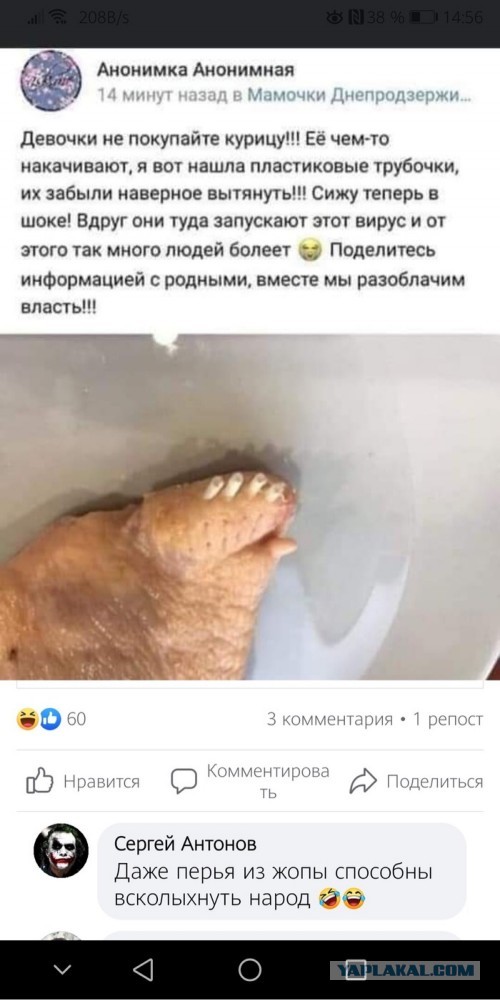 Веселые картинки.