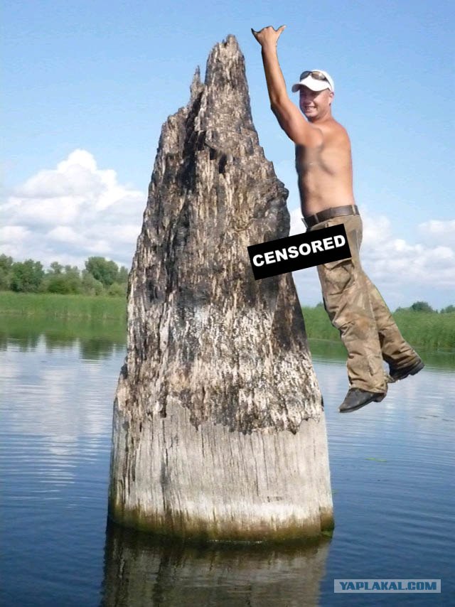 Фотожаба: На пеньке