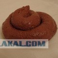 Собака знает числа