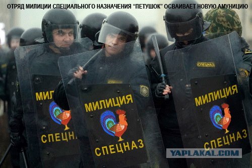 Песня белорусского рубля на допсессии (Б. Гребенщи