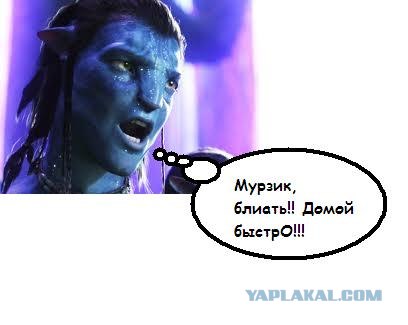 В океане засняли странное существо