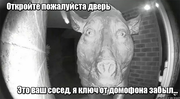Насохранял