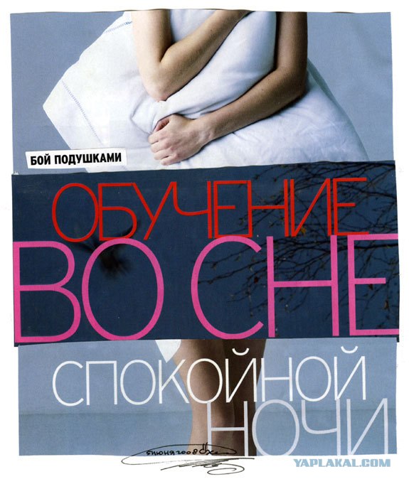 Новые хокку в картинках