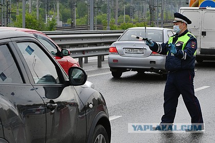 В России хотят массово внедрить алкозамки на автомобили