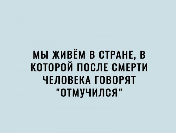 Всяческие картинки 29.06.2021