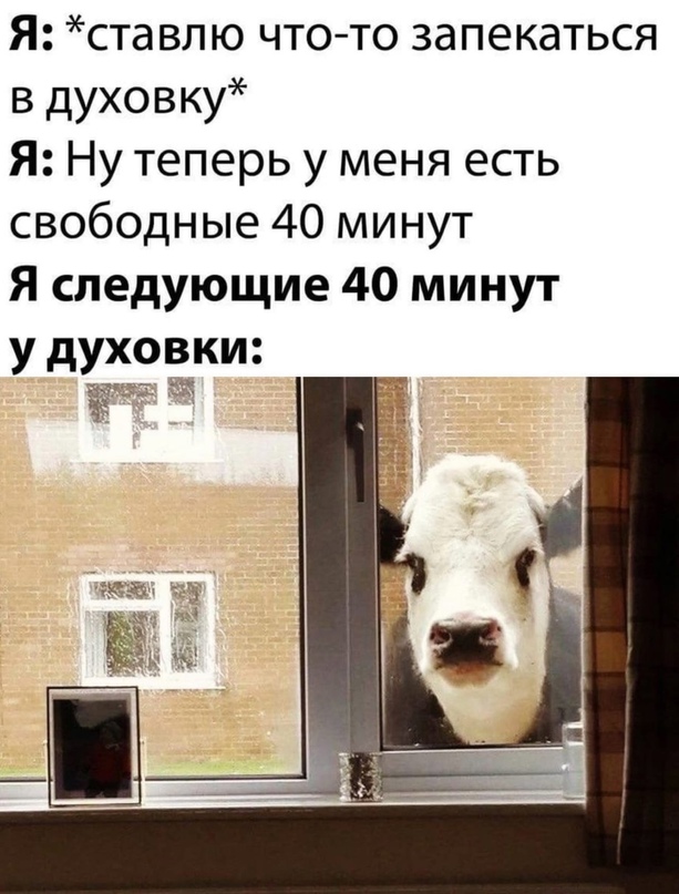 Весёлый полтишок 04.10