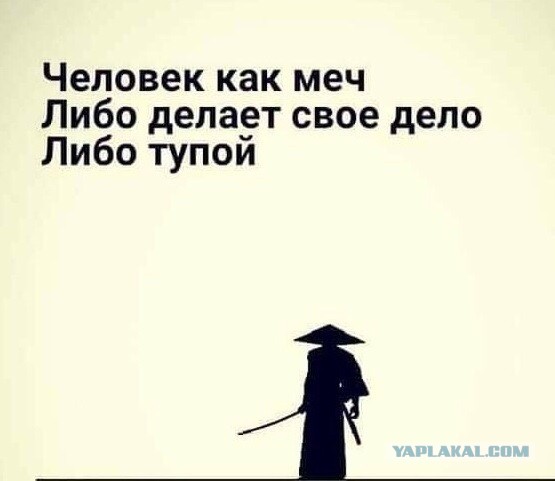 Лавров назвал главу МИД Франции петухом