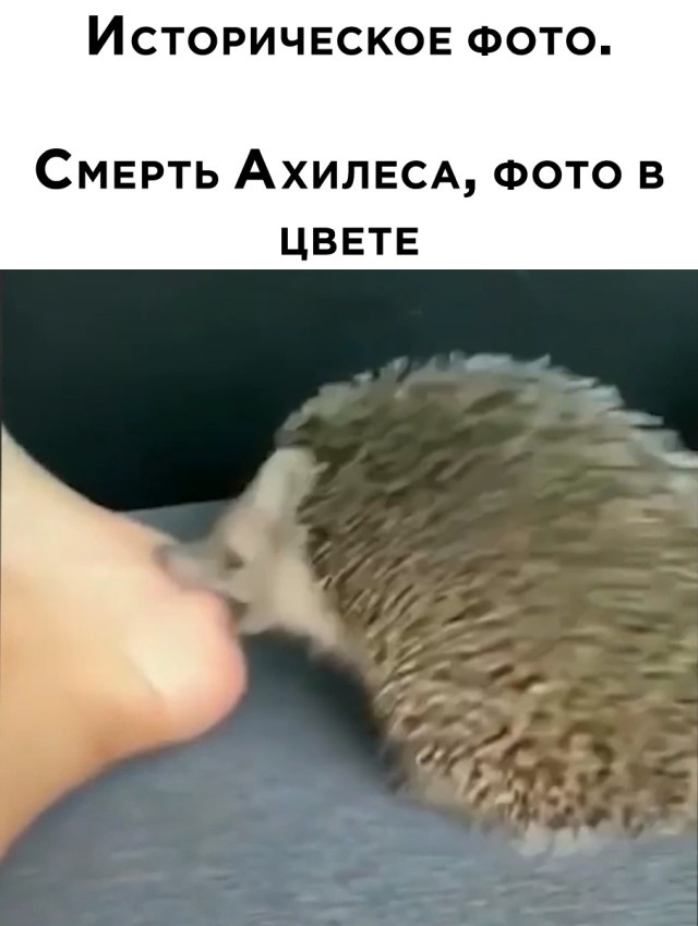 Так себе картинки 26.07.22