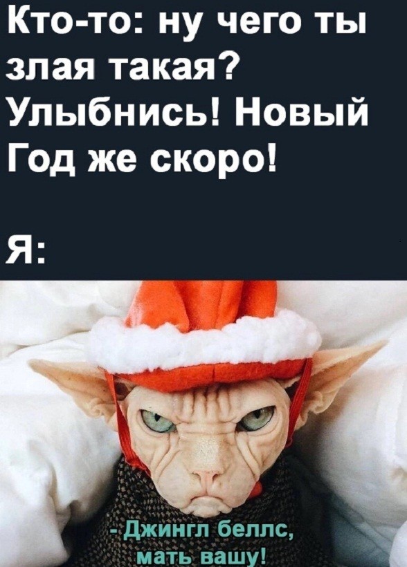 Большинство россиян пожаловались на отсутствие новогоднего настроения