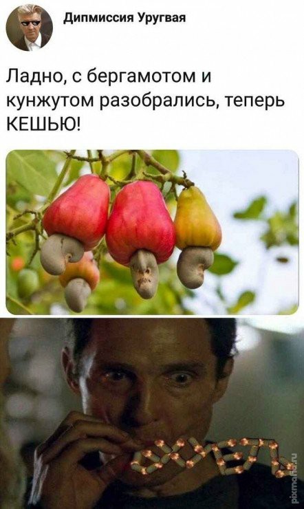 Не бейте баяниста - играет, как может