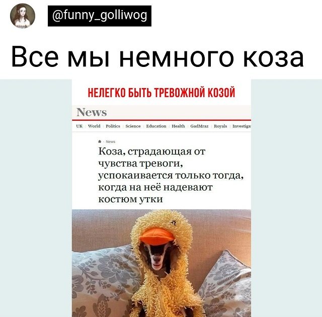 Картинки и мемы, всем хороших выходных