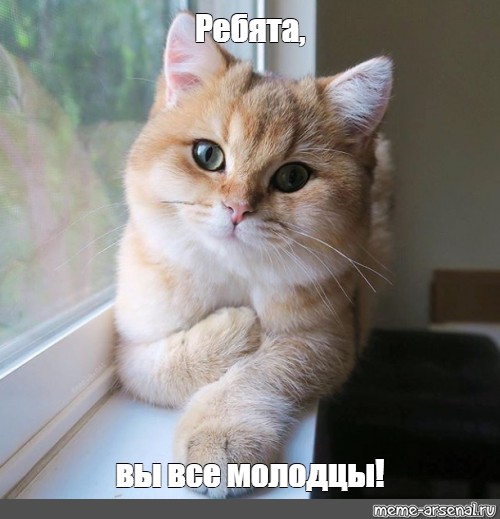 Вот и я стал рабом