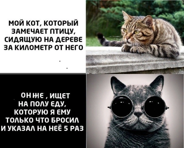 Демократия в опасности!